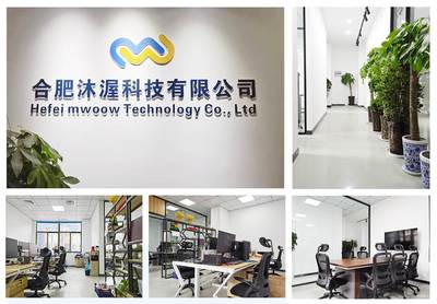 赋能未来 应用软件开发公司的创新之路